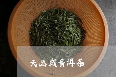 天品成普洱茶/2023042958074