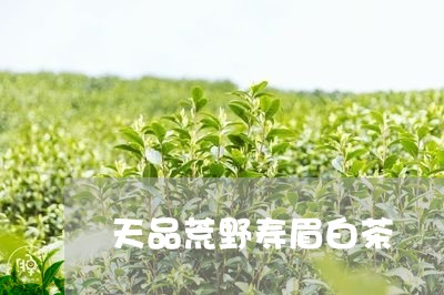 天品荒野寿眉白茶/2023090712683