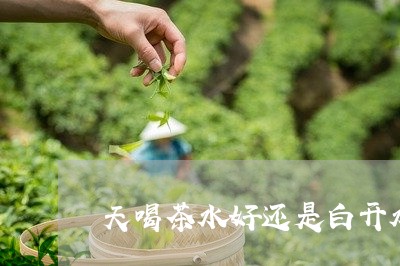 天喝茶水好还是白开水好/2023051162714