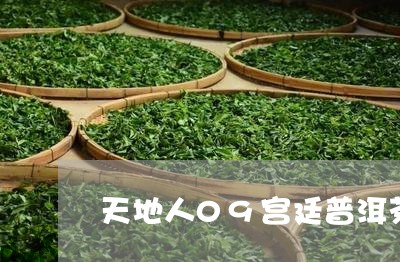 天地人09宫廷普洱茶/2023093050504