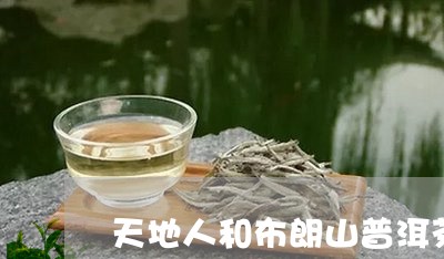 天地人和布朗山普洱茶/2023120601612