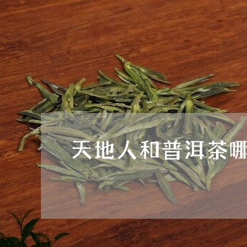 天地人和普洱茶哪个好/2023073029693