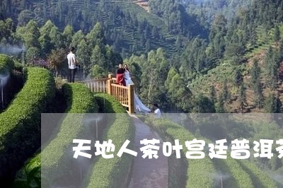 天地人茶叶宫廷普洱茶/2023062341826