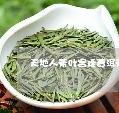 天地人茶叶宫廷普洱茶/2023073094959