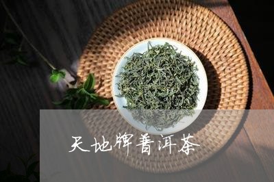 天地牌普洱茶/2023042766798