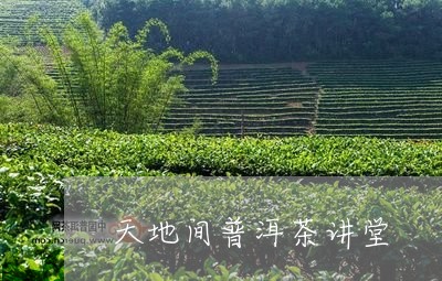 天地间普洱茶讲堂/2023120407158