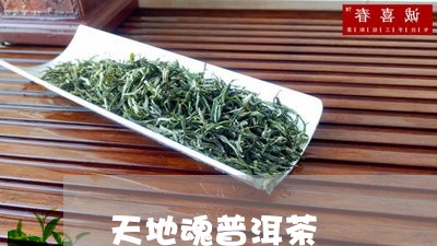 天地魂普洱茶/2023042842396