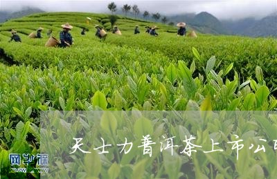 天士力普洱茶上市公司/2023080141896