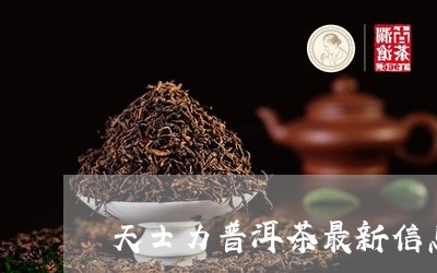 天士力普洱茶最新信息/2023100776250