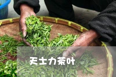 天士力茶叶/2023041805643