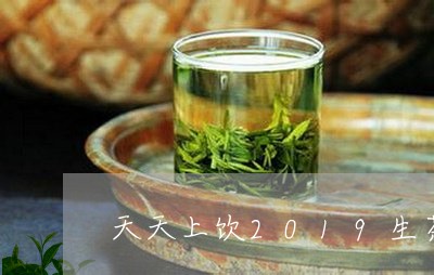 天天上饮2019生茶/2023092145082