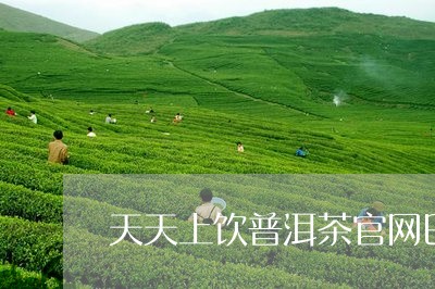 天天上饮普洱茶官网巴达山茶的特点/2023060311847