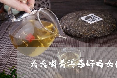 天天喝普洱茶好吗女生/2023111023836