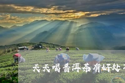 天天喝普洱茶有好处不/2023072486158