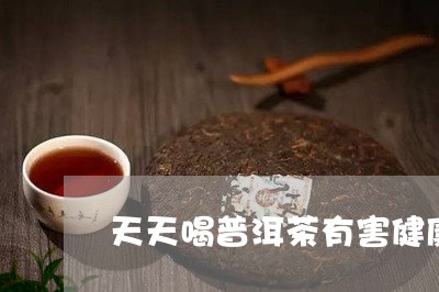 天天喝普洱茶有害健康吗/2023110503927