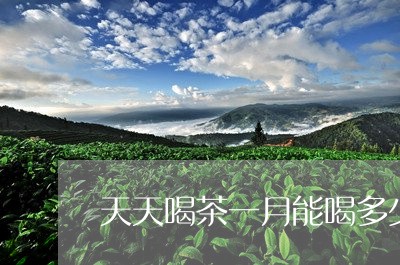 天天喝茶一月能喝多少/2023092104948