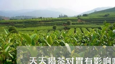 天天喝茶对胃有影响吗/2023060997281