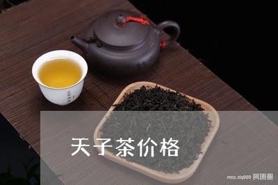 天子茶价格/2023090282737