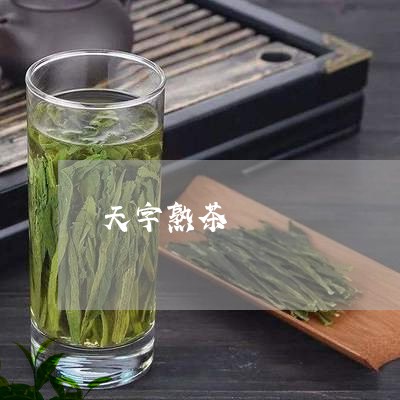 天字熟茶/2023090169582