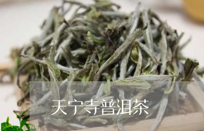 天宁寺普洱茶/2023101640048