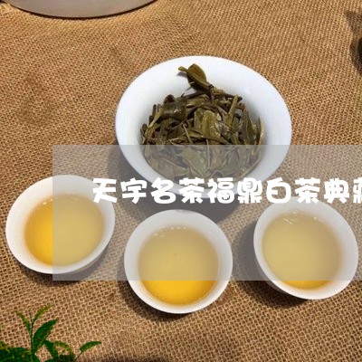 天宇名茶福鼎白茶典藏/2023091528618