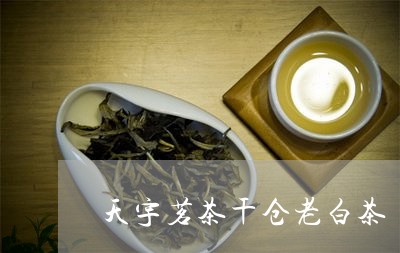 天宇茗茶干仓老白茶/2023081374904