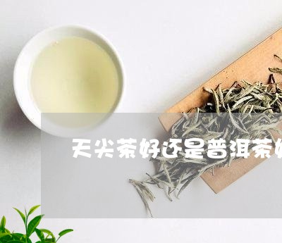 天尖茶好还是普洱茶好/2023062461716