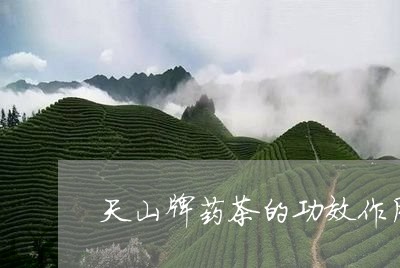 天山牌药茶的功效作用/2023092053825