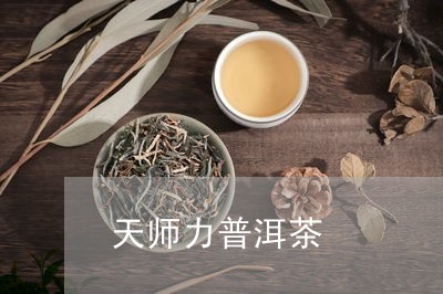 天师力普洱茶/2023042656804