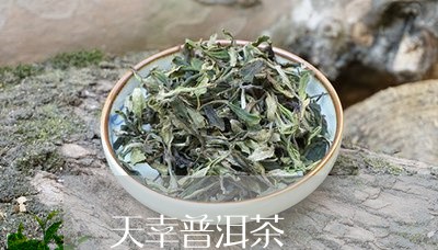 天幸普洱茶/2023090580603