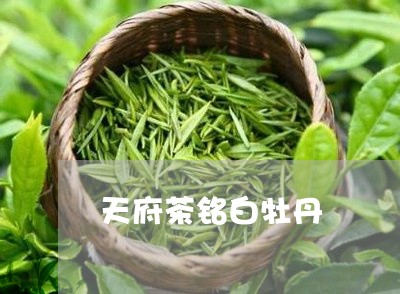 天府茶铭白牡丹/2023112384271