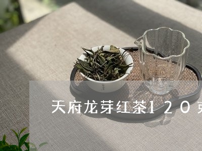 天府龙芽红茶120克价格/2023051157261