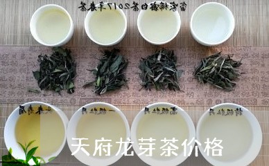 天府龙芽茶价格/2023050113519