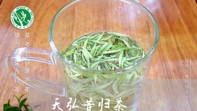 天弘昔归茶/2023041887393