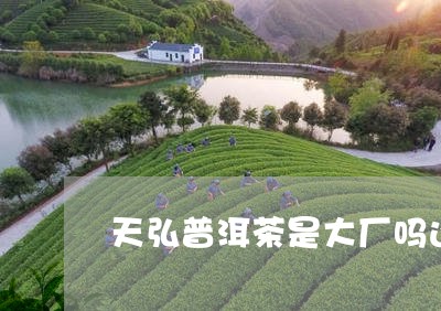 天弘普洱茶是大厂吗还是小厂/2023121541591