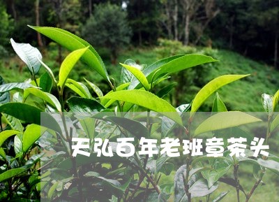 天弘百年老班章茶头/2023042717140