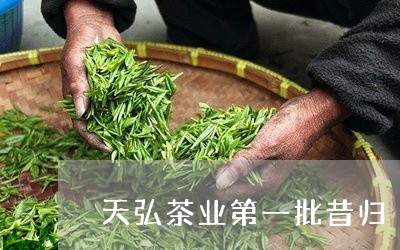 天弘茶业第一批昔归/2023042069583