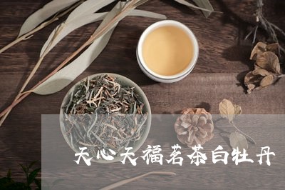 天心天福茗茶白牡丹/2023120598593