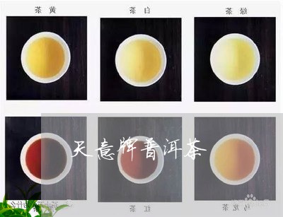 天意牌普洱茶/2023102549351