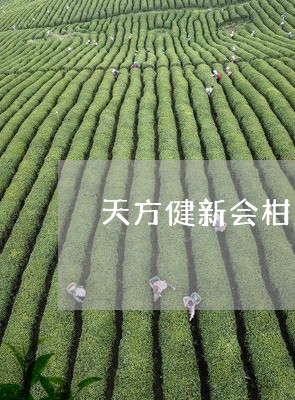 天方健新会柑皮普洱茶/2023080303746