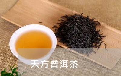 天方普洱茶/2023090678793