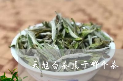 天旭白茶属于哪个茶/2023071674947