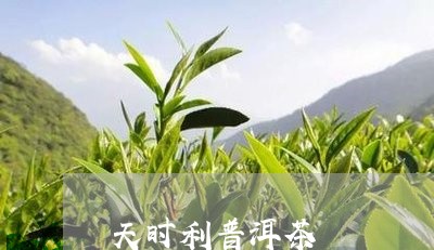 天时利普洱茶/2023102585059