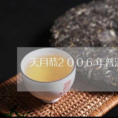 天月恭2006年普洱茶珍藏价格/2023060206158