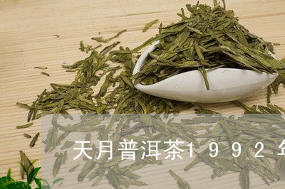 天月普洱茶1992年/2023092536269