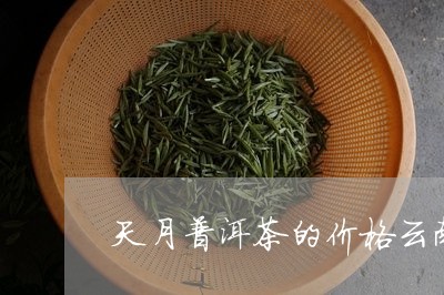 天月普洱茶的价格云南普洱茶九八年/2023060393604