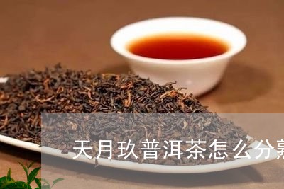 天月玖普洱茶怎么分熟/2023061862726