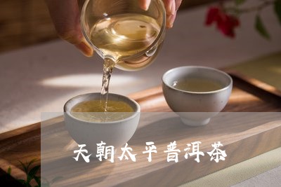 天朝太平普洱茶/2023112693736