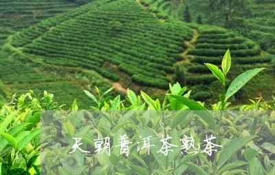 天朝普洱茶熟茶/2023112659491