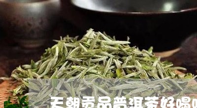 天朝贡品普洱茶好喝吗/2023062348392